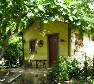 Tropical River Tour  – Oktober 2014