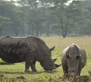 Mutter und Kind ungstört
