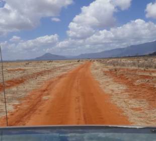 Safari Tsavo Ost 2018