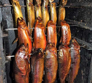 Impressionen vom Schaufenster Fischereihafen