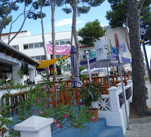 Mosquito Bar