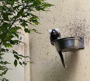 Tiergarten Straubing