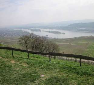 Restaurant Rebenhaus 