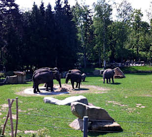 Zoo