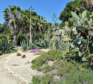 Rundgang durch den Botanischen Garten Cagliari