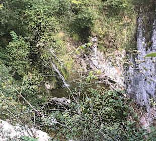 Wandern Sankt Wolfgang im Salzkammergut
