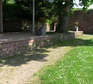 Schlossruine Wildberg