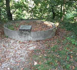 Bussen Schöpfungsweg Offingen