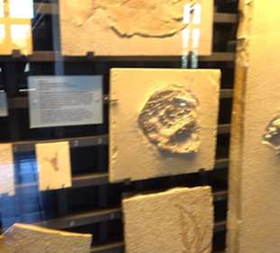 Jura-Museum