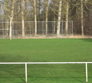 Erwin-Waldner-Stadion Neckarhausen