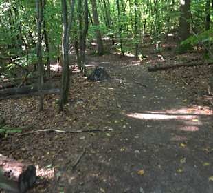 Wanderung Heslacher Wasserfälle und Heidenbrünnele