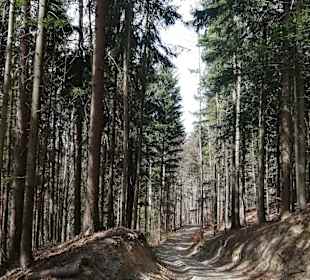 Wandern Bad Schönau