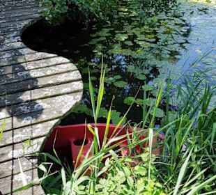 Fußwege direkt am Teich