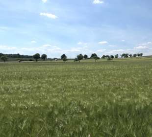 Heuberger Warte Seebronn