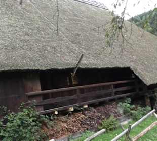 Schlössle von Effringen