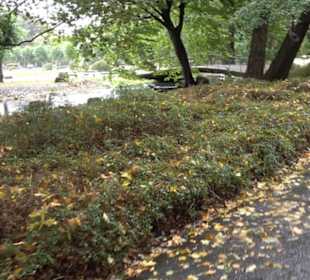 Tierpark