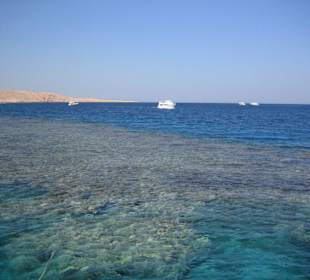 So was bekommt man selten zu sehen