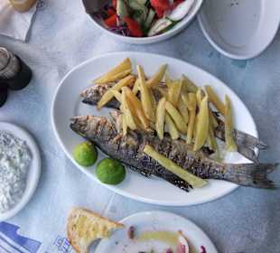 Frischer Fisch