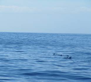 Widoki w trakcie rejsu 