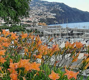Hafenpromenade Funchal