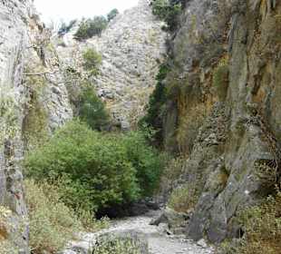 Impressionen Imbrosschlucht
