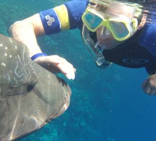 Napoleon beim spielen