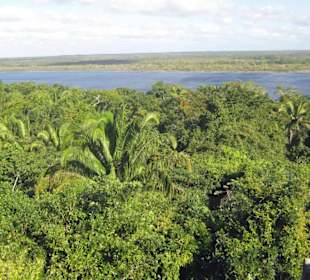  'El Castillo-Pyramide' in 'Lamanai'