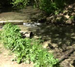 Oberer Gönninger See
