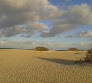 Dünen von Corralejo