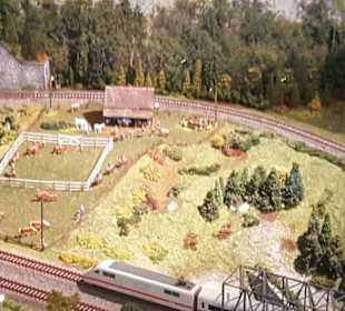 Pferdehof neben der Bergbahn