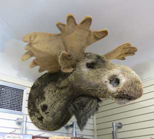 Stadtrundgang Brampton