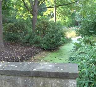 Großer Tiergarten