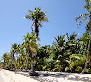 Naturstrand am Ende des Bavaro Beach