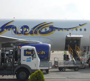 Unser Flugzeug direkter Flug von Zürich