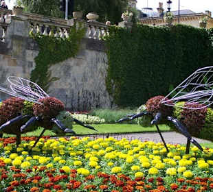 Flower-bed (bumblebee)