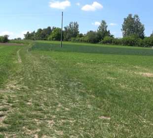 Wanderweg Sieben-Täler-Runde 