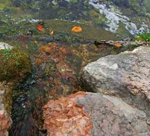 An der Brandungsmauer