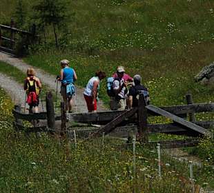 Hauswanderung Juli 2013