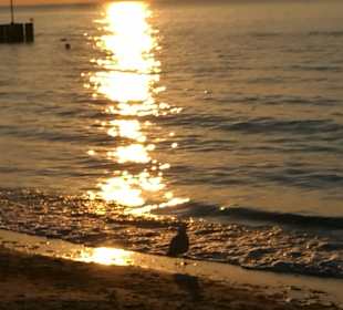 Abenddämmerung am Strand von Kolberg