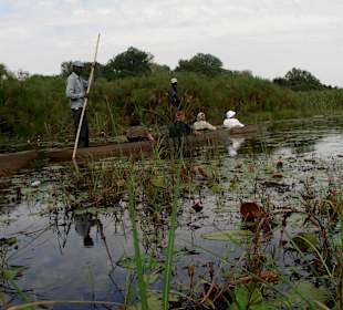 Okavango Delta