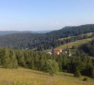 Wandern Feldberg