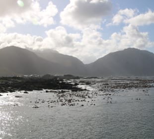 ...und teils schmutzigem Wasser..