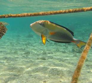 Azura Deluxe Resort & Spa Hotel