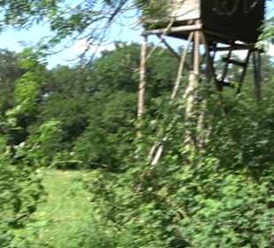 Eduard Lucas Musterobstgarten Mähringen