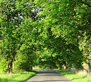 Wandern Putbus auf Rügen
