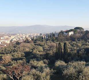 Aussicht auf Florenz