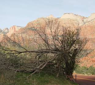 Zion Nationalpark