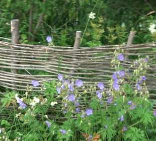 ALB-GOLD Naturgarten