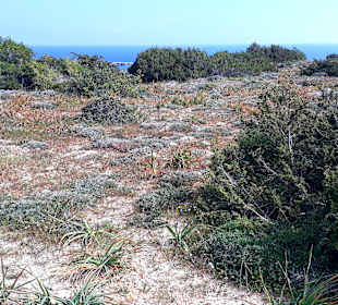 Nationalpark Kap Greco