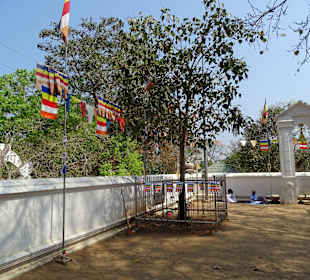 Buddhistischer Tempel